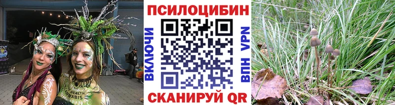 Купить где  Нестеровская  Псилоцибиновые грибы ЛСД 